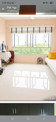 Blk 513C Saraca Breeze @ Yishun (Yishun), HDB 3 Rooms #610257881